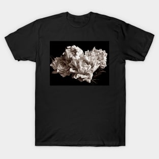 Four Peonies Sepia Monochrome Print T-Shirt